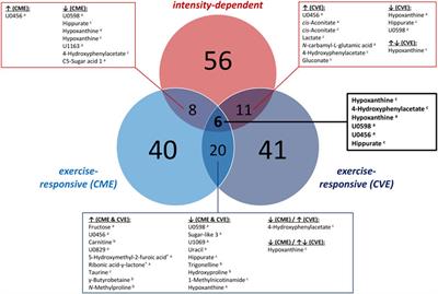 Acute effects of moderate vs. vigorous endurance exercise on urinary metabolites in healthy, young, physically active men—A multi-platform metabolomics approach